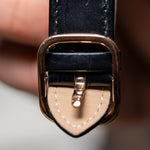 The Ellipse - Black Gold